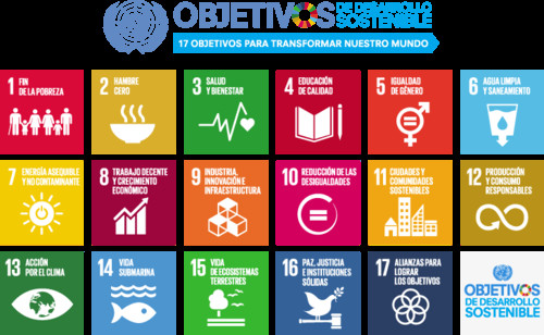 Los 17 Objetivos de Desarrollo Sostenible