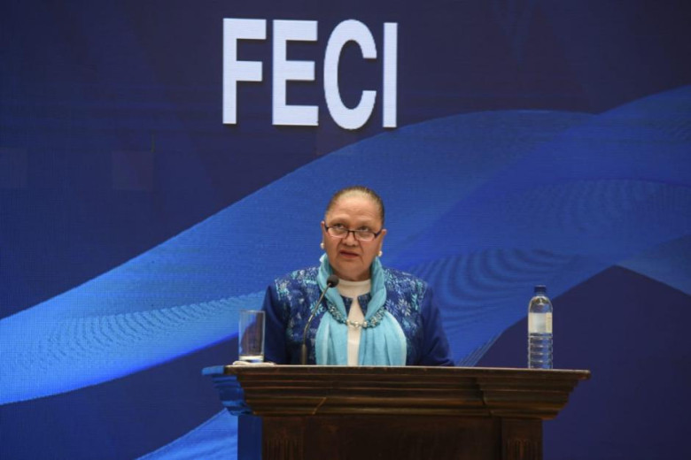 El rol de la FECI