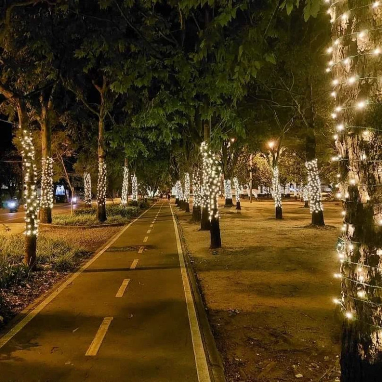 1. Desfile de Navidad en la Ciudad de Guatemala