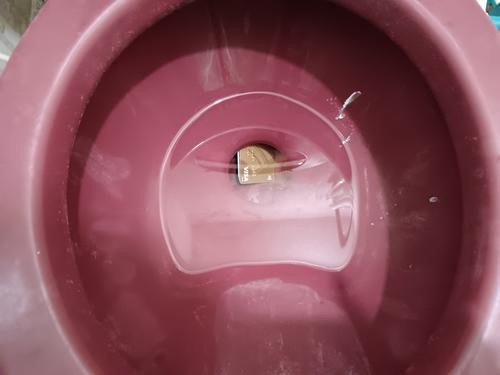 La investigación reveló que la banda operaba ofreciendo bebidas adulteradas a sus víctimas, a quienes luego robaban sus pertenencias.