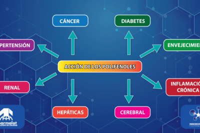 LOS POLIFENOLES :BIOACTIVOS PROMETEDORES