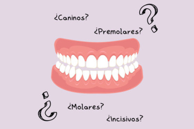 LOS DIENTES