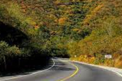 Leyenda de la ruta 14 🛤️🚛