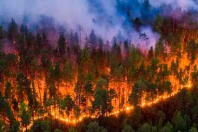 Investigaciones en Curso por 38 Incendios Presuntamente Provocados