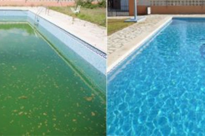 ¿Cómo limpiar tu piscina?