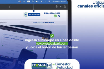 Cómo proteger tus cuentas en línea y evitar filtraciones de información