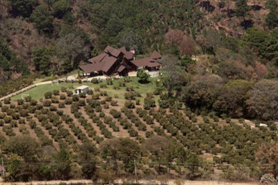 Finca millonaria de Otto Pérez Molina pasará al Estado tras fallo judicial por fondos ilícitos