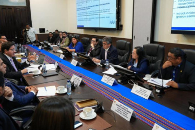 Ministros defienden aumento presupuestario ante el Congreso para el ejercicio 2026