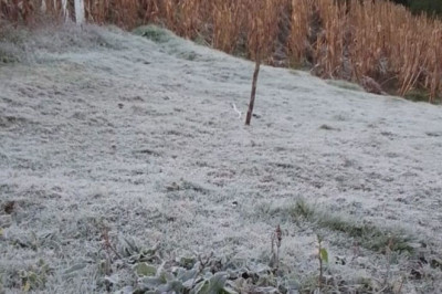 Clima frío marca el inicio de febrero en Guatemala