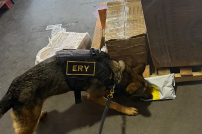 Hallan droga en bodega de encomiendas en la zona 12 de la capital
