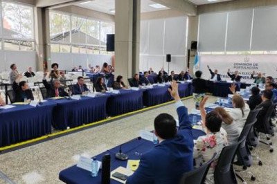 OEA pide transparencia y criterios objetivos para elegir al próximo Contralor General de Cuentas