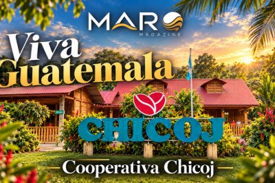 Cooperativa Chicoj: café, cultura Q’eqchi’ y aventura entre los bosques de Cobán