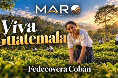 Fedecovera: cooperativismo, producción y desarrollo que nacen desde las Verapaces
